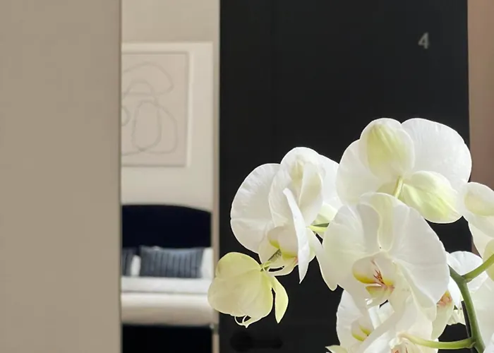 Situation Exceptionnelle Harmony Iii *