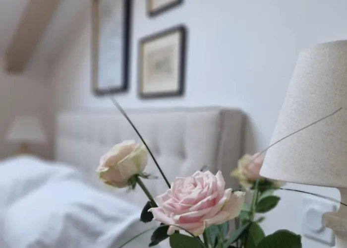 아파트 Situation Exceptionnelle Harmony Iii 카르카손